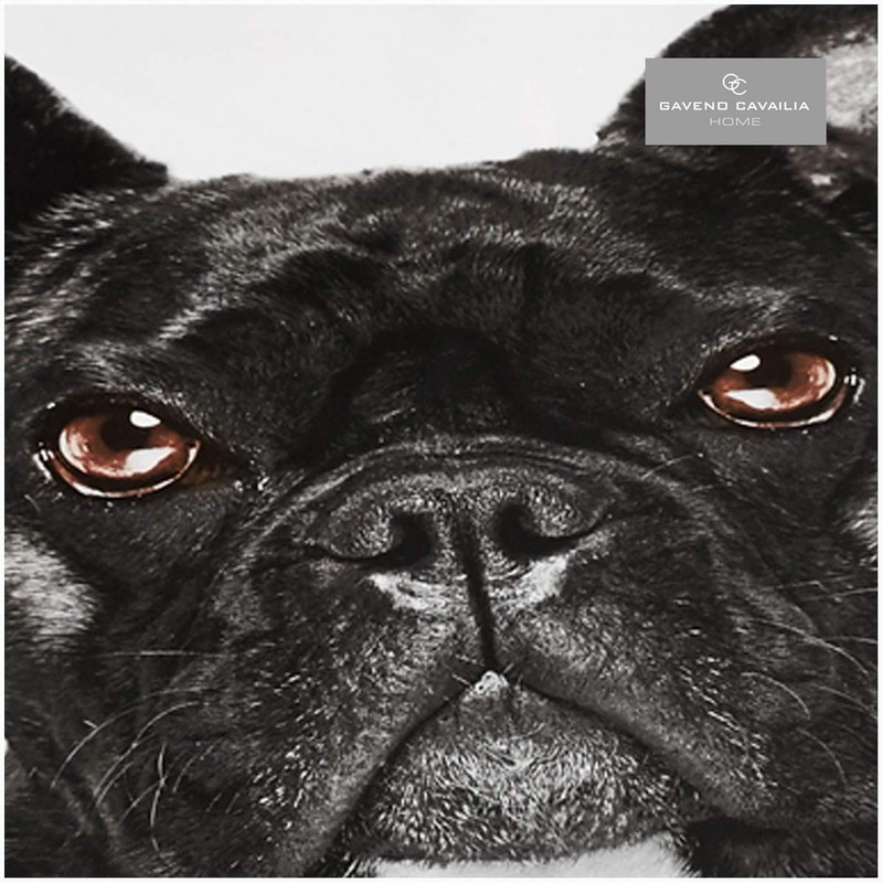 Gaveno Cavailia WILDLIFE 3D BULL DOG Bed Set with Duvet