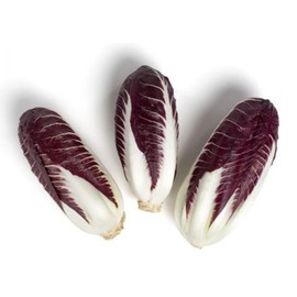 Trevisano, 10 Count, Average 10 Pounds Case, Burgundy and White Leaves, Fresh and Crisp