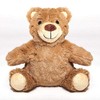 Pistachio Pet Dog Toy - Plush Teddy Bear With Squeaker.