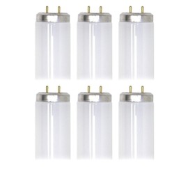 GE Lighting (case of 6) GE 93119143 Daylight F17T8  17 watt T8 Fluorescent Tube, 24 inch,