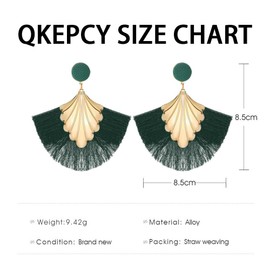 QKEPCY Women's Long Tassel Fan Earrings Tassel Drop Earrings Boho Earrings Metal Hypoallergenic Lightweight Statement Stud Earrings Festival Jewellery for Women and Girls, Stainless Steel