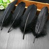 50Pcs Feathers for Crafts,18cm Colourful Feathers Elegant Natural Goose Feathers