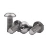 Ruifu Bicycle Bottle Cage Titanium Alloy Bolts ISO7380 M5x8mm M5x10mm