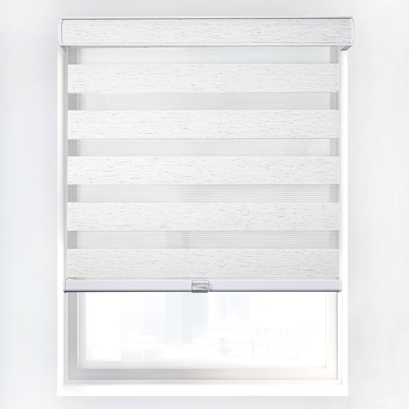 CHICOLOGY Zebra Blinds, Roller Window Shades, Blinds for Windows, Roller
