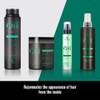 Lendan LD Oil Essences E.Moringa Hair Oil - 100 ml