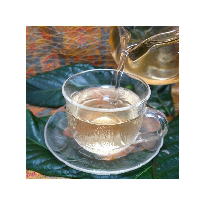 Loquat Leaf Tea (Loquat Leaf Tea, Biwa-cha), 7.1 oz (200