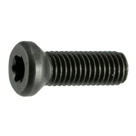 Black Oxide Star Drive Weaver Oval Head Gun Screws - 10 pcs. (6-48 x 3/8" T-10 Torx)