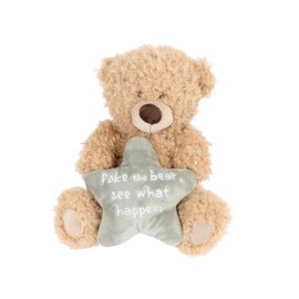 Cheeky Plush Teddy Bear 20cm – Hilarious Valentine's or B'day Gift! Soft Cuddly Bear Holding Heart or Star with Rude Sassy Message – Funny Gift for Boyfriend Girlfriend or Bestie (Poke the Bear)