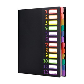 Sheet Music File, Document File, A4 File Case, Writable, 2 Sides, Open Document Case, Transparent PP Pockets, Large Capacity, Documents, A4 Exam Paper, Music Box, Clear Holder, Elastic Band Closure,