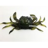 FISHING ADDICT Realistic Crab fishing lure softbait Crazy Crab Green