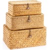 Pack of 3 Wicker Storage Baskets with Lid, Rattan Storage