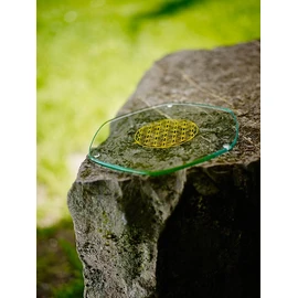 Energy Plate 22 cm