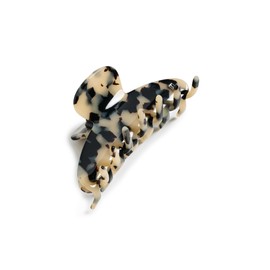 Alexandre de Paris ACCM-7705 (ALBINOS(G)) Hair Clip Barrette Hair Access Tortoise Shell Medium 3.0 inches (7.5 cm) Hair Clip
