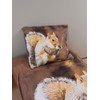 BrandMac Bed Linen Set with Squirrel 135 x 200 cm
