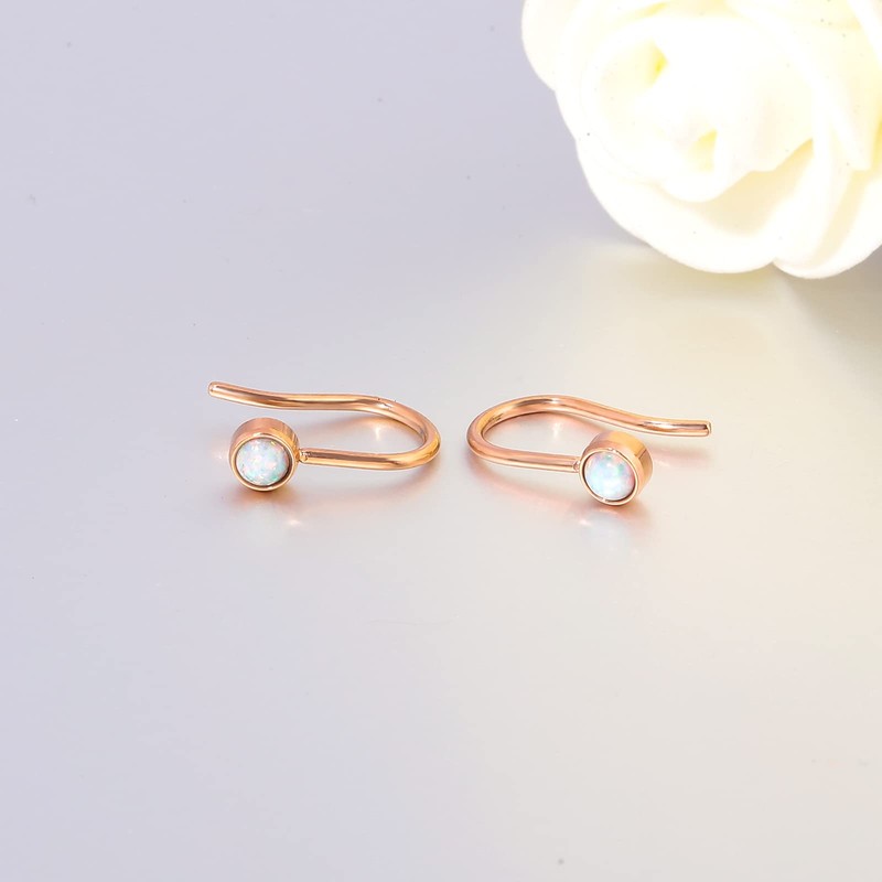 CiNily Women's Dainty Hook Earrings Stainless Steel Hypoallergenic Created White