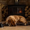 DORWEST HERBS Scullcap & Valerian Calming Tablets for Dogs and