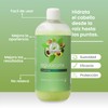 Shampoo De Aguacate Reparador Productos Mart Mexico 500 Ml