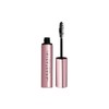 아나스타샤 비벌리 힐스 클리어 브로우 Anastasia Beverly Hills Clear Brow [Full V2]