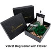 ARING PET Velvet Dog Collar, Cute Christmas Dog Collar with
