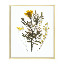 Frametory, Floating Picture Frame 16x20 - Gold Aluminum Metal Photo Frame - Real Glass of Front - for Wall Mount Displays