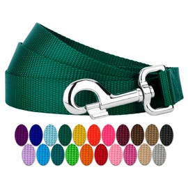 Country Brook Petz - 1 Inch Solid Color Nylon Dog Leash - Durable Clip - Soft Handle (1 Inch Wide, 6 Foot, Green)