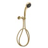 Voyager Handheld Gold Shower Head