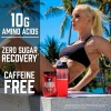 Suplemento en polvo BSN Endurance and Recovery Aminoácidos sabor ponche