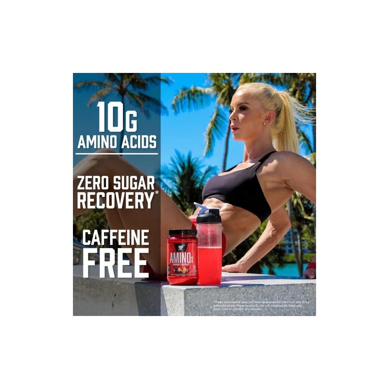 Suplemento en polvo BSN Endurance and Recovery Aminoácidos sabor ponche