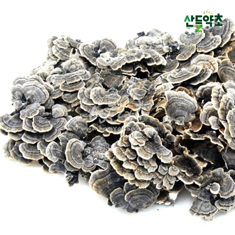 Domestic Cloud Mushroom 1kg Cloud Mushroom / 국산 운지버섯 1kg