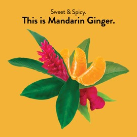 Choice Organics - Organic Mandarin Ginger Tea (1 Pack) - Organic Herbal Tea - 16 Tea Bags