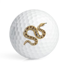 CafePress Sidewinder Snake Novelty Golf Balls (Pk of 12)