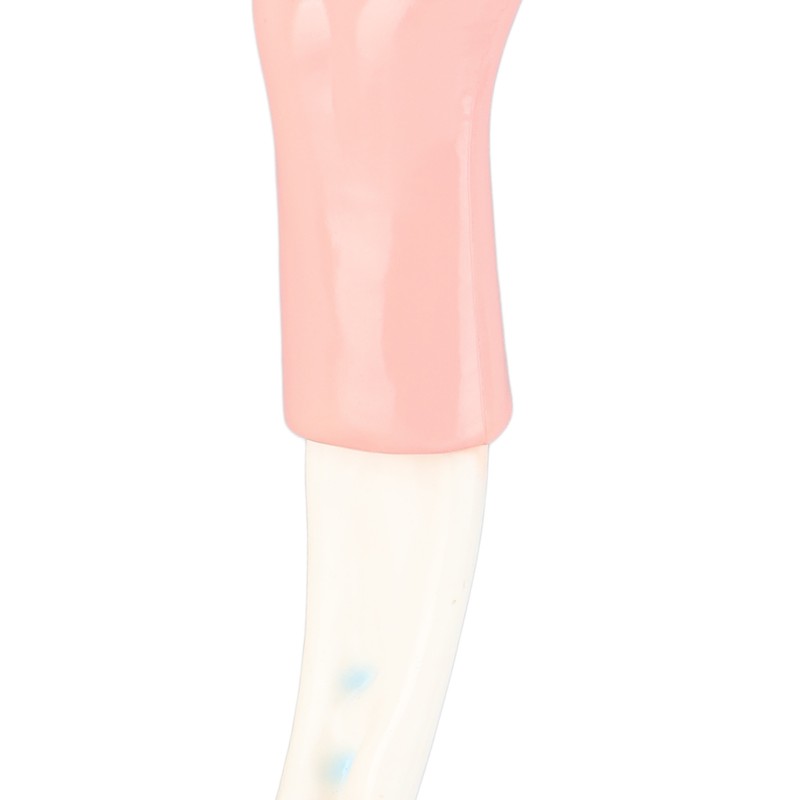 Arm Moving Model Anatomical Elbow Joint Motion Model Primary School