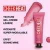 Maybelline Cheek Heat Water Infused Hydrating Gel Sheer Blusher, 15
