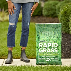 Scotts Scotts Turf Builder Rapid Grass Tall Fescue Mix, Combination Seed and Fertilizer, Grows Green Grass in Just Weeks, 16 lbs.