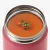 Asvel Luntus Stainless Steel Insulated Soup Bottle