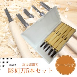 Nirvisa Chisel Set of 5 with Case, Flat Blade, Triangular Blade, Round Blade