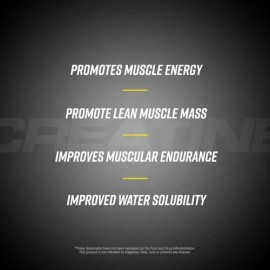 Creatina Monohidratada Micronizada Cellucor 72srv (2 Botes)