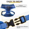 SCENEREAL Puppy Dog Harness with Leash Set for Small Medium