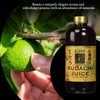 Yakami Orchard 100% Pure Japanese Sudachi Juice, 12 Ounce (Pack