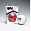 Gunn & Moore Unisex Youth Skills Cricket Training Ball, Red