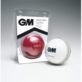 Gunn & Moore Unisex Youth Skills Cricket Training Ball, Red White, Junior UK