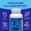 Longevity Marine Collagen Supplement – Types I & III Peptides