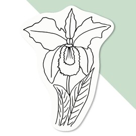 Azeeda 4 x 'Iris Flower' White Premium Vinyl Decal Stickers – Waterproof, Durable & Easy to Apply - Ideal for Car Bumpers, Windows, Bins and More (DW00014509)