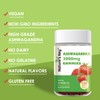 Nature's Key Ashwagandha Gummies, High Potency Ashwagandha Root Extract with