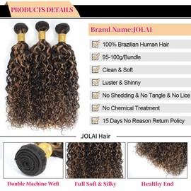 JOLAI Highlight Black and Brown Bundles With Closure Water Wave 100% Unprocessed Human Hair Wet and Wavy Human Hair 10 12 14 inch 3 Bundles with 10 inch 4x4 HD Lace Closure Brazilian Remy Hair #F1b/30