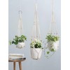 Mkono 3 Pack Macrame Plant Hangers Indoor Different Size Hanging