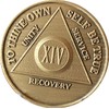 RecoveryChip Bulk Lot of 25 AA Medallions Metal Sobriety Coins