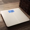 Escali High Capacity Anti-Slip Digital Bathroom Scale for Body Weight
