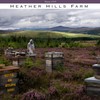Heather Hills Farm Raw Spanish Lavender Honey 4 Oz (Pack