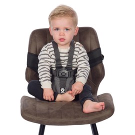 Original Dooky Travel Chair - Baby Travel High Chair Seat Belt for On the Go - Age Group: 6-36 Months, Fits Almost Any Chair, Compact and Lightweight, 100% Polyester, Black